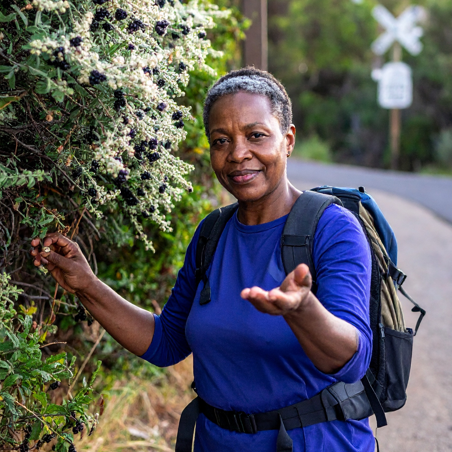 Icon image of a hiker offering a pearl of sage wisdom from the sage bush to the viewer